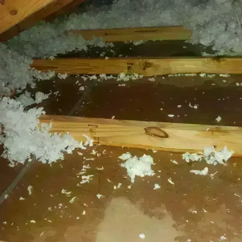 Attic Water Damage in Seth Ward, TX