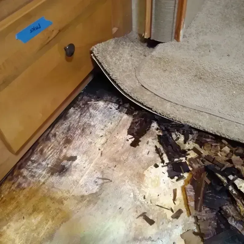 Wood Floor Water Damage in Seth Ward, TX